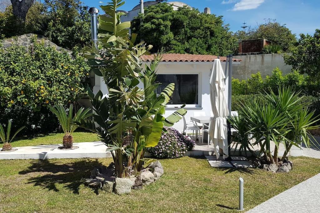 Casa Vacanza M&C Ischia Forio di Ischia Exterior foto