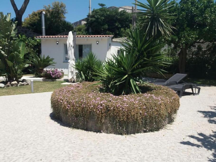 Casa Vacanza M&C Ischia Forio di Ischia Exterior foto