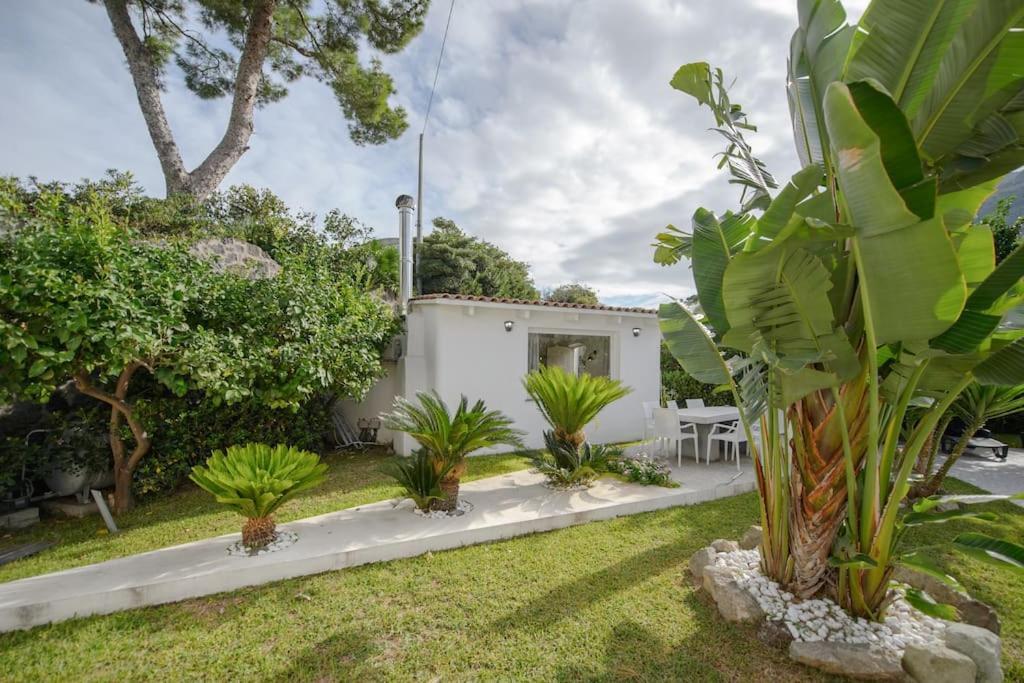 Casa Vacanza M&C Ischia Forio di Ischia Exterior foto